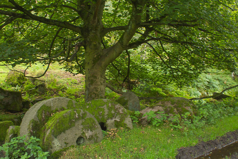 Bolehill Quarry Bolehill Quarry